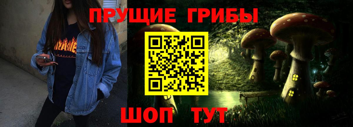 Галлюциногенные грибы Psilocybine cubensis Сегежа