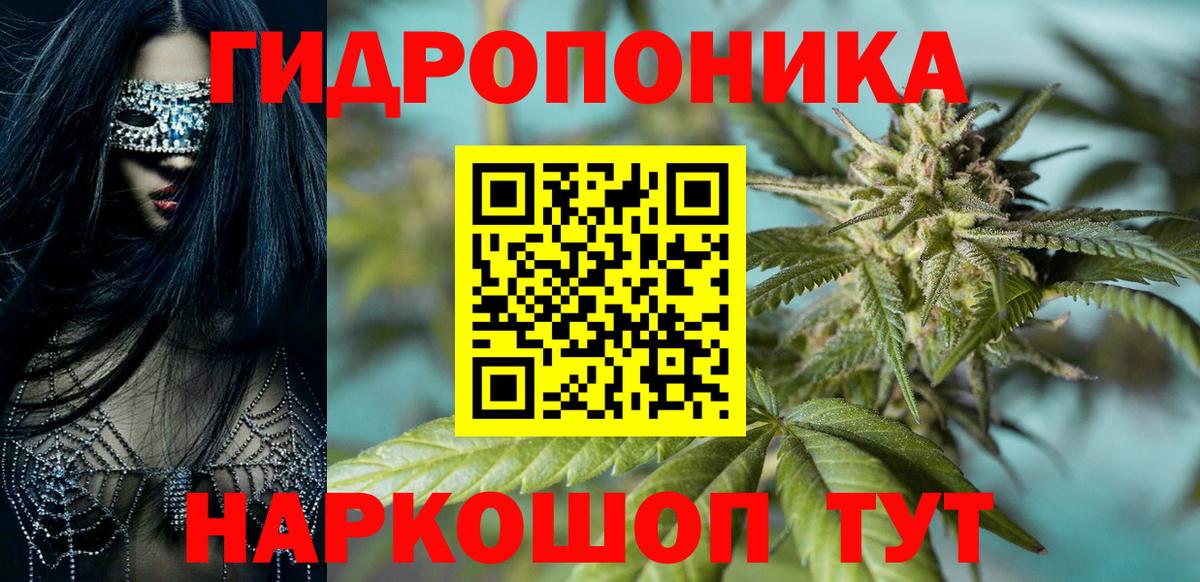 МАРИХУАНА план Сегежа